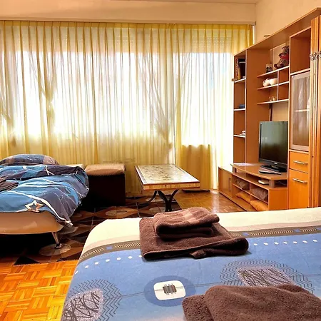 Anemones, Meuble, Equipe, Apartament