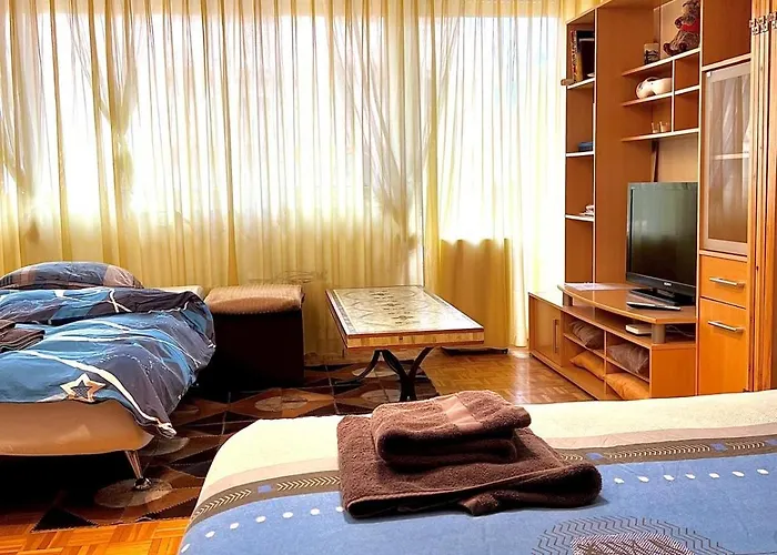 Anemones, Meuble, Equipe, Apartman